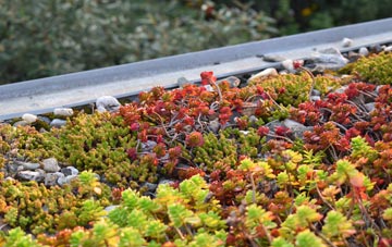 the cost of Flitholme green roof installation