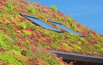 Flitholme living roof systems